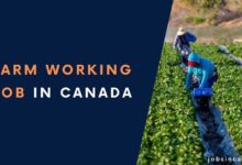 Farm Working Jobs in Canada