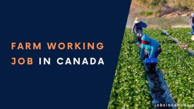 Farm Working Jobs in Canada