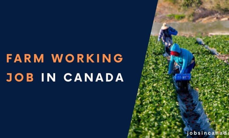 Farm Working Jobs in Canada