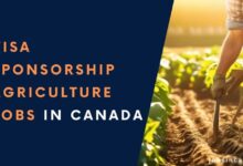 Visa Sponsorship Agriculture Jobs in Canada