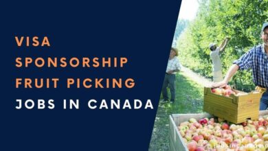 Visa Sponsorship Fruit Picking Jobs in Canada