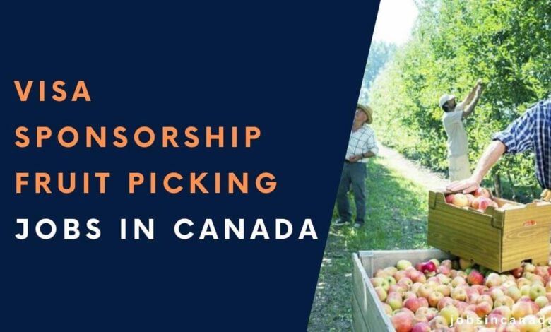 Visa Sponsorship Fruit Picking Jobs in Canada