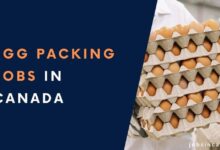 Egg Packing Jobs in Canada