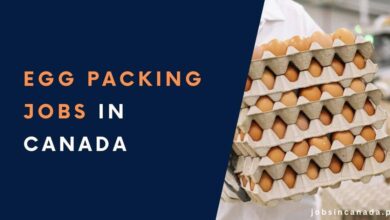 Egg Packing Jobs in Canada