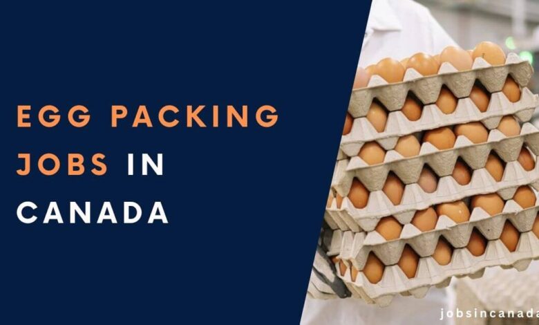 Egg Packing Jobs in Canada