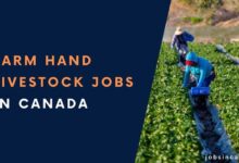 Farm Hand Livestock Jobs in Canada