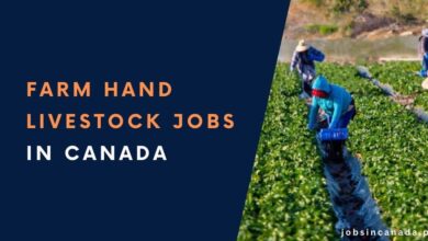 Farm Hand Livestock Jobs in Canada