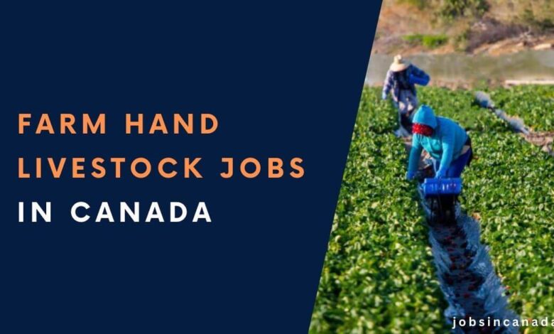 Farm Hand Livestock Jobs in Canada