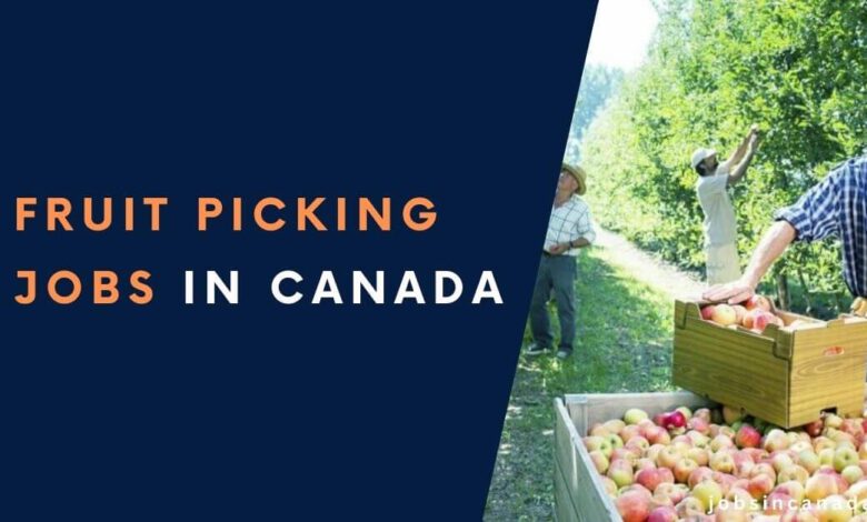 Fruit Picking Jobs in Canada