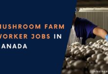 Mushroom Farm Worker Jobs in Canada