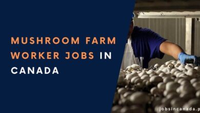 Mushroom Farm Worker Jobs in Canada