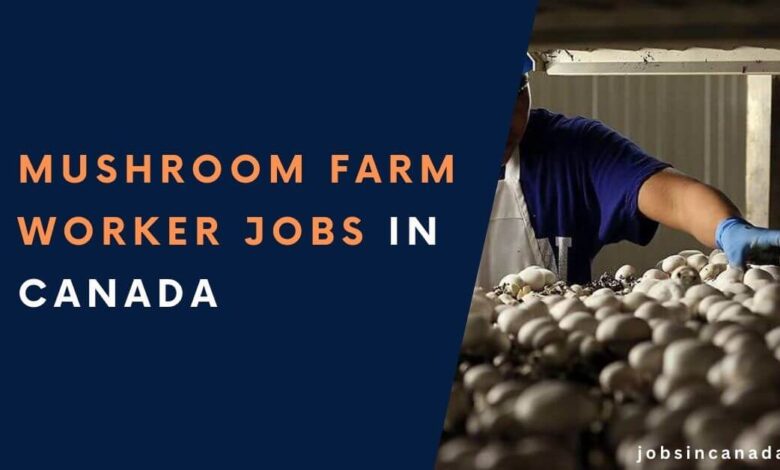 Mushroom Farm Worker Jobs in Canada