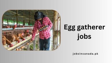 Egg gatherer jobs