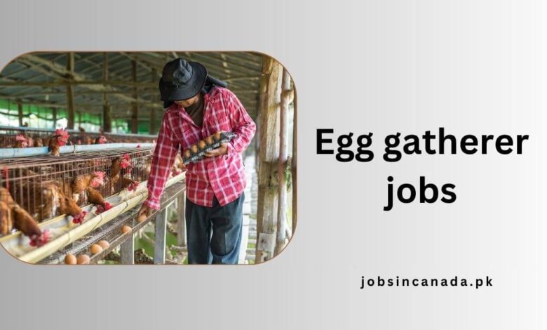 Egg gatherer jobs