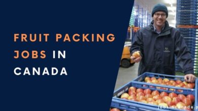 Fruit Packing Jobs in Canada