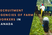 Recruitment Agencies of Farm Workers in Canada