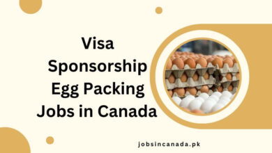 Visa Sponsorship Egg Packing Jobs in Canada