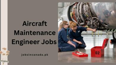 Aircraft Maintenance Engineer Jobs