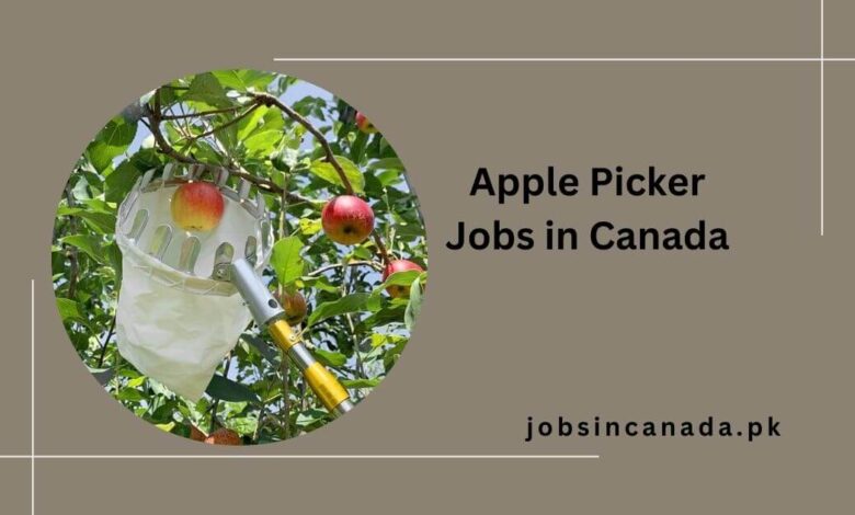 Apple Picker Jobs in Canada