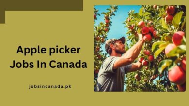 Apple picker Jobs In Canada