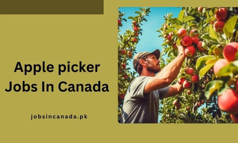 Apple picker Jobs In Canada