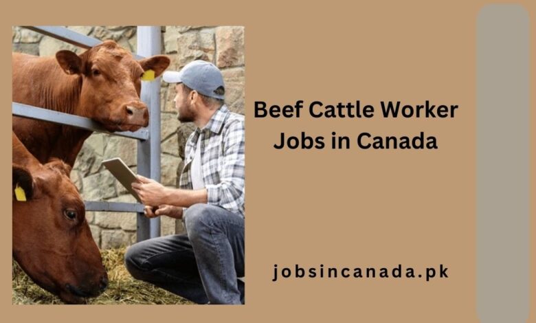 Beef Cattle Worker Jobs in Canada