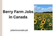 Berry Farm Jobs in Canada