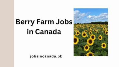 Berry Farm Jobs in Canada