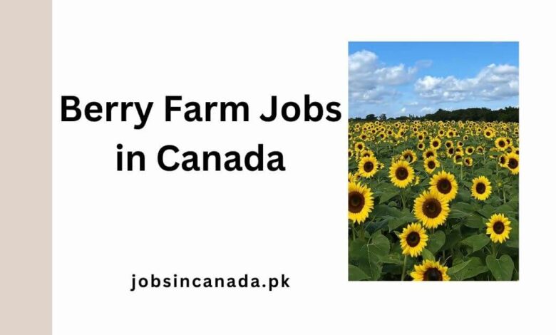 Berry Farm Jobs in Canada