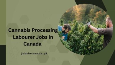 Cannabis Processing Labourer Jobs in Canada