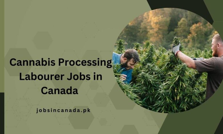 Cannabis Processing Labourer Jobs in Canada