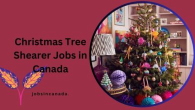 Christmas Tree Shearer Jobs in Canada