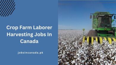 Crop Farm Laborer Harvesting Jobs In Canada