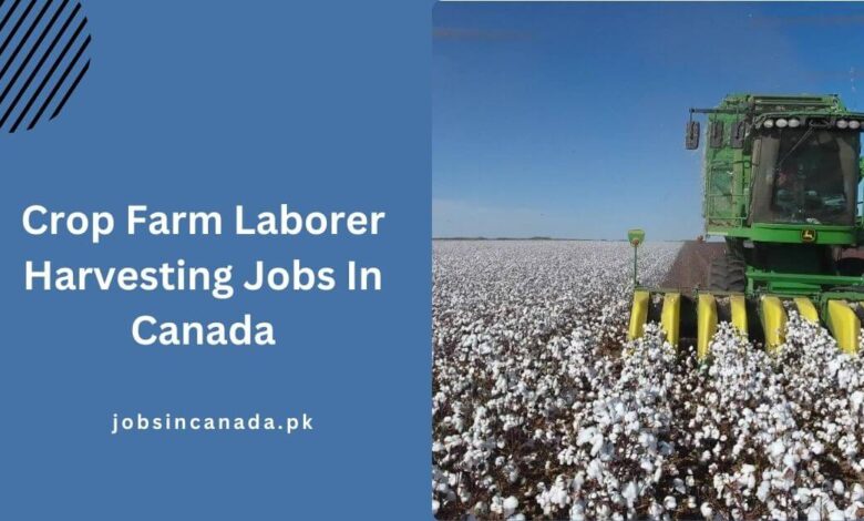 Crop Farm Laborer Harvesting Jobs In Canada