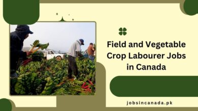 Field and Vegetable Crop Labourer Jobs in Canada