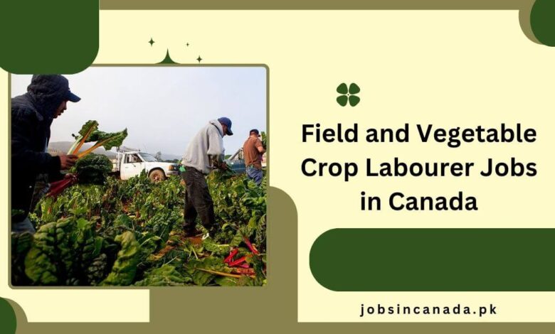 Field and Vegetable Crop Labourer Jobs in Canada