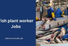 Fish plant worker Jobs