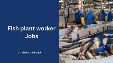 Fish plant worker Jobs