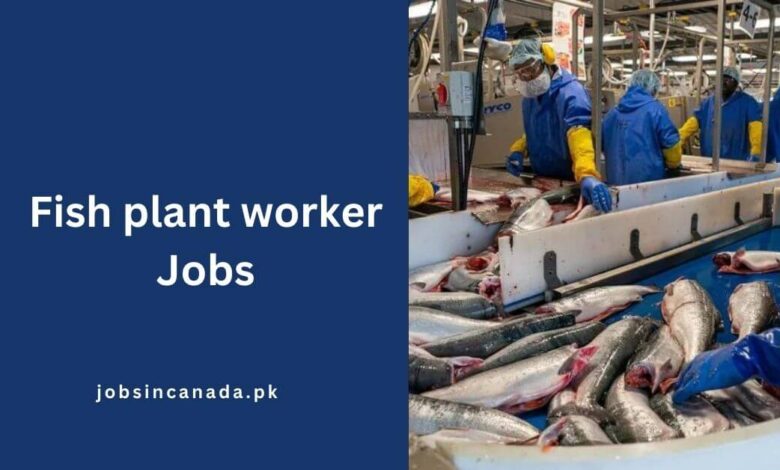 Fish plant worker Jobs