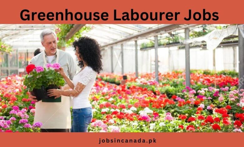 Greenhouse Labourer Jobs