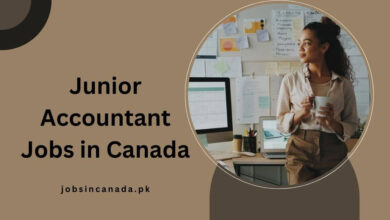 Junior Accountant Jobs in Canada