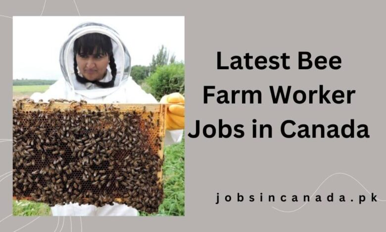 Latest Bee Farm Worker Jobs in Canada