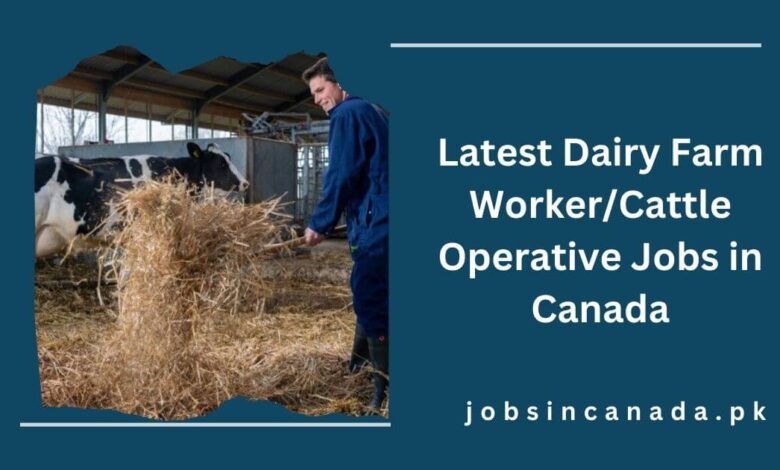 Latest Dairy Farm WorkerCattle Operative Jobs in Canada