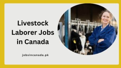 Livestock Laborer Jobs in Canada