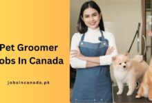 Pet Groomer Jobs In Canada