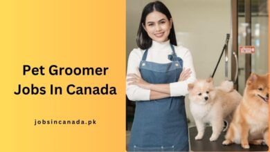 Pet Groomer Jobs In Canada