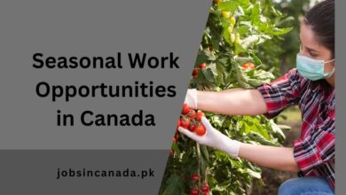 Seasonal Work Opportunities in Canada