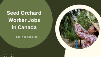 Seed Orchard Worker Jobs in Canada