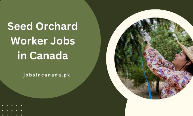 Seed Orchard Worker Jobs in Canada