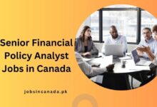 Senior Financial Policy Analyst Jobs in Canada